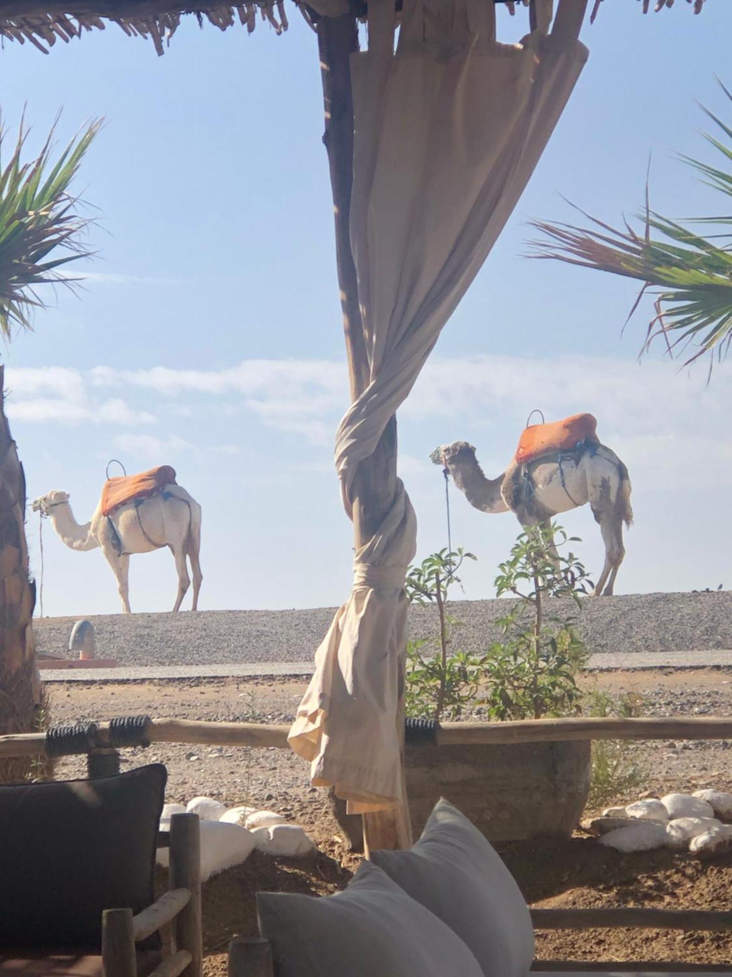 Riad Abbassia Marrakech Premiere 马拉喀什 外观 照片