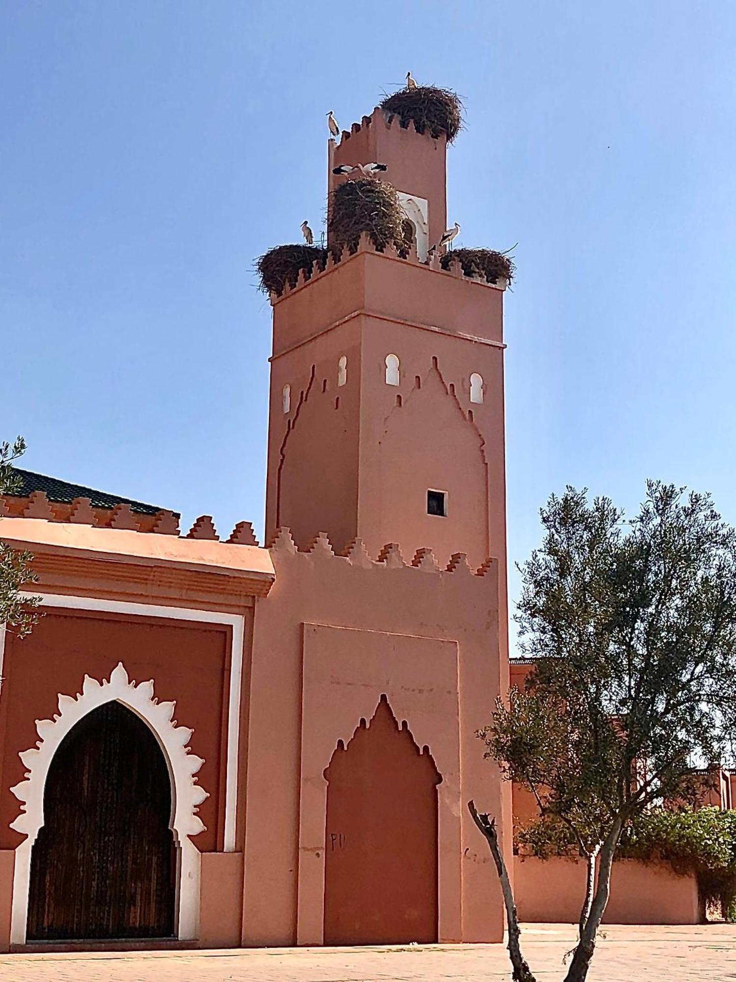 Riad Abbassia Marrakech Premiere 马拉喀什 外观 照片