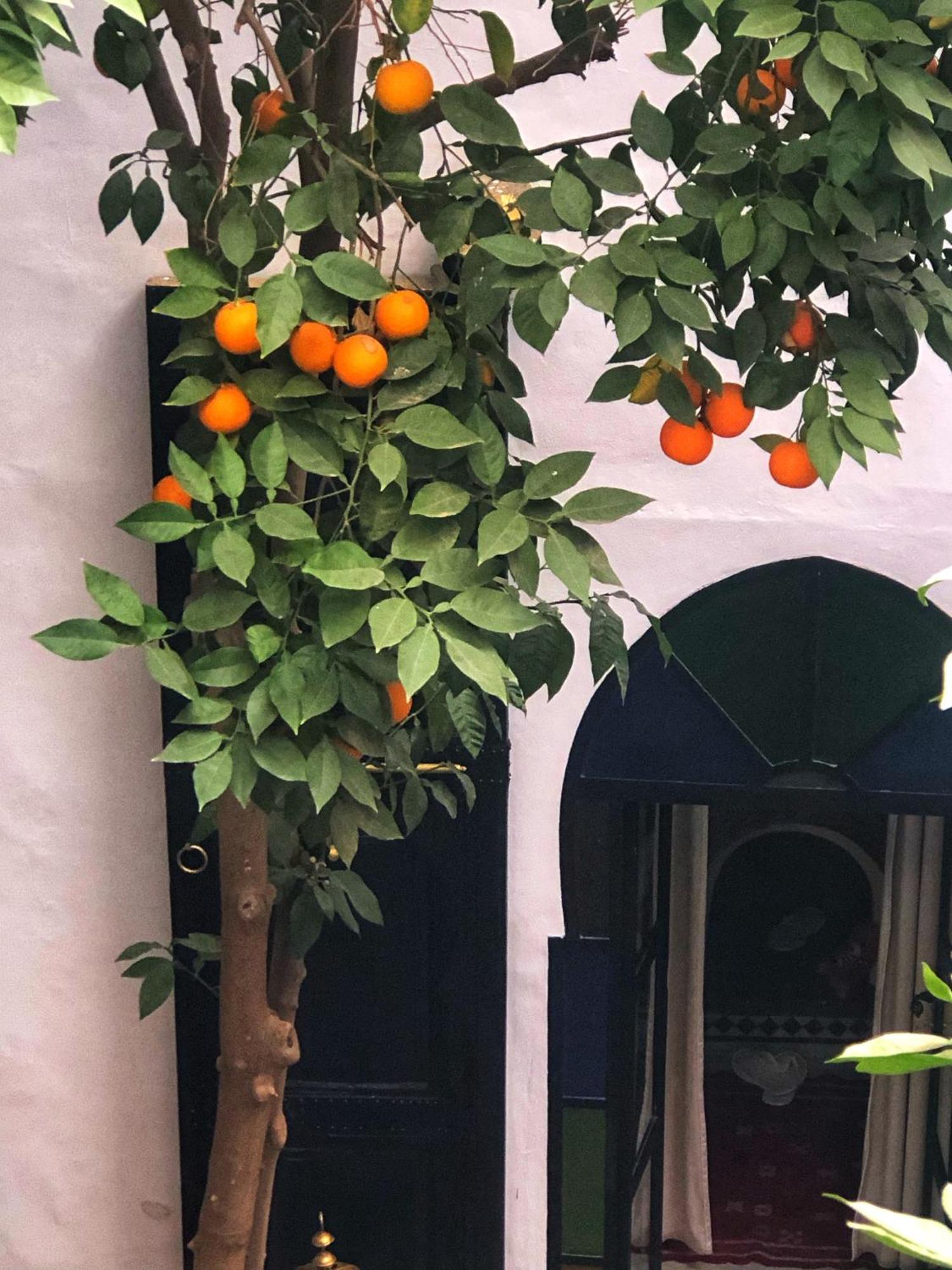 Riad Abbassia Marrakech Premiere 马拉喀什 外观 照片