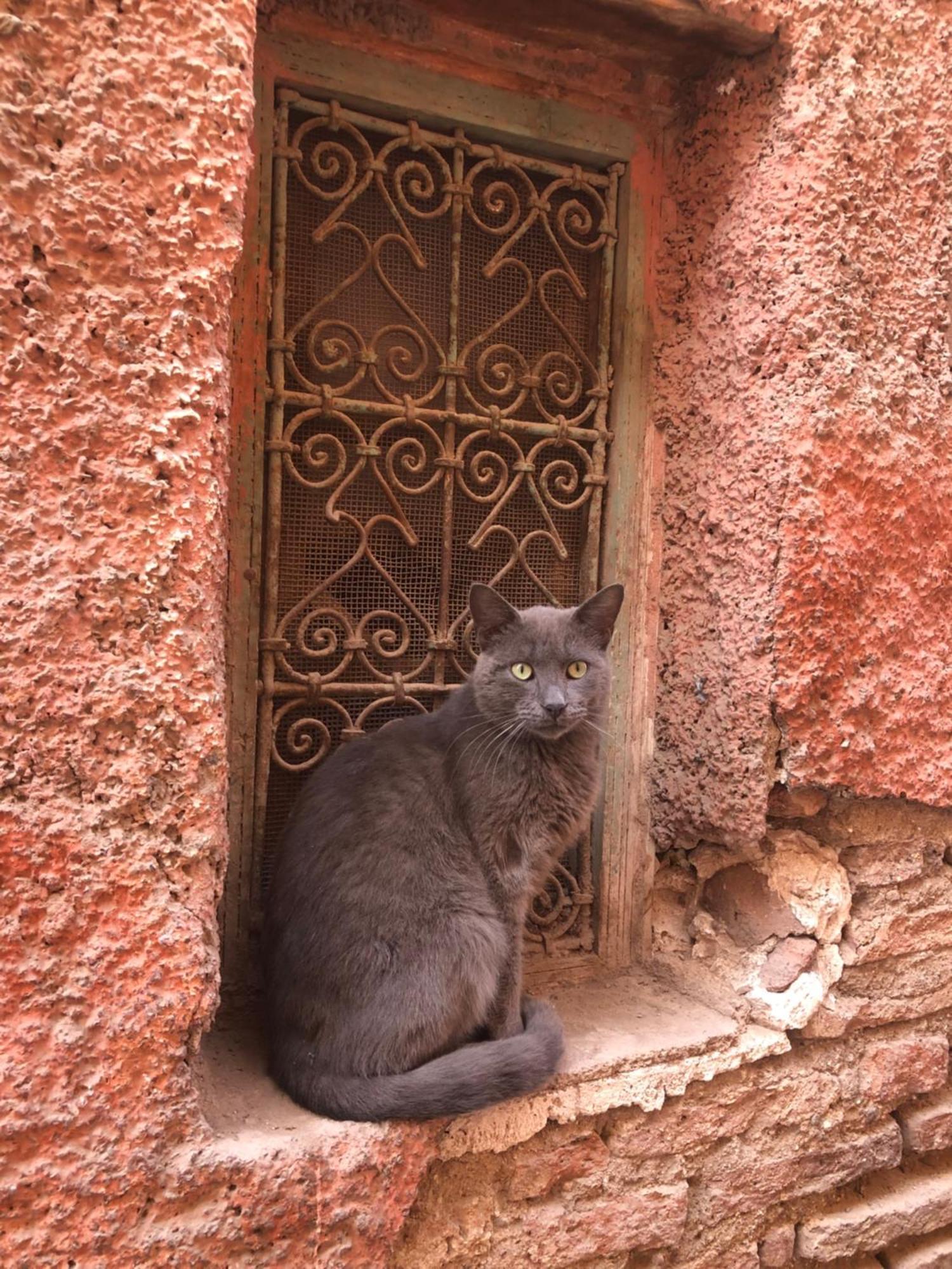 Riad Abbassia Marrakech Premiere 马拉喀什 外观 照片